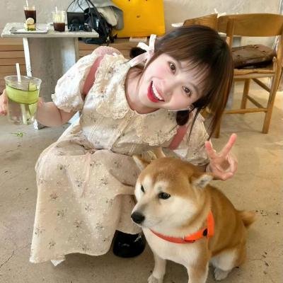一剪芳华